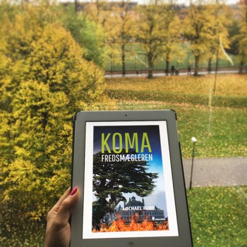 Fredsmægleren, Michael Ford