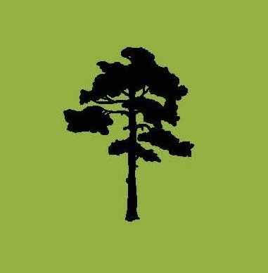 Cedertræ - Fredsmægleren