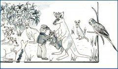 Den kongelige Kænguru af Michael Ford, ill. Regitze Schmidt