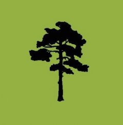 Cedertræ, Fredsmægleren af Michael Ford